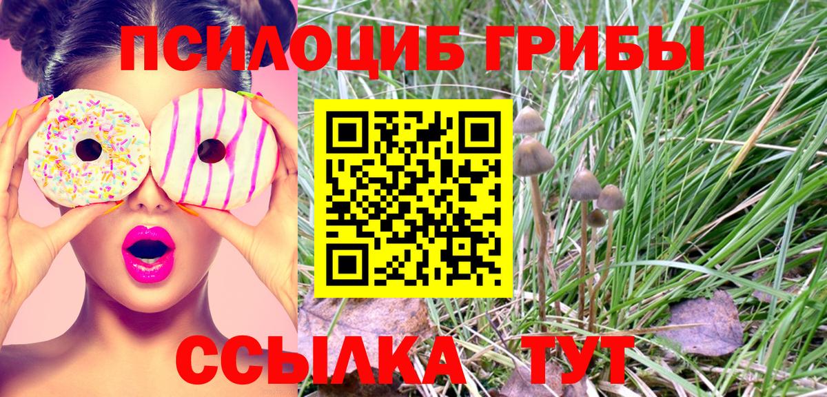 Звенигород  Галлюциногенные грибы Psilocybine cubensis  Вход с VPN 